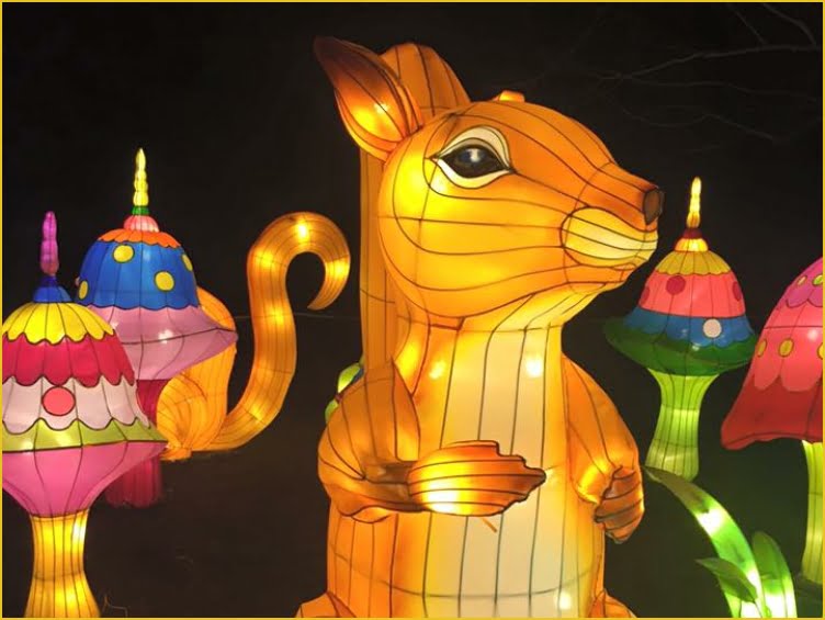 outdoor event power - norfolk