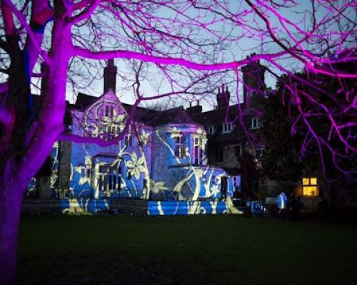 House illuminated with floral projections and purple lighting during the Enchanted Places event in Lewes, showcasing art installations and magical lighting.