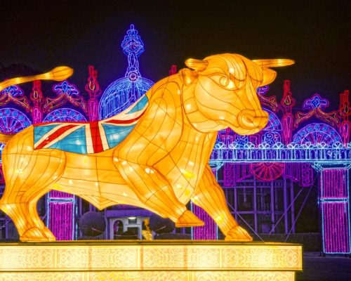 Illuminated bull lantern with Union Jack design, featured prominently at Weli Creative's Magical Lantern Festival, surrounded by vibrant decorative lights.