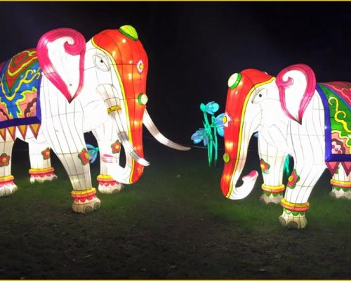 Colorful illuminated elephants at the Magical Lantern Festival, showcasing vibrant decorations and flowers, symbolizing cultural celebration and outdoor power solutions provided by Midas.