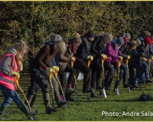 Group of people using shovels, participating in a community planting event, showcasing teamwork and engagement in agriculture-related activities.